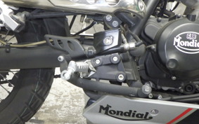 OTHER +UNREGISTERED MODEL by BDS125 2021