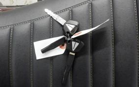 KAWASAKI Z900RS 2025 ZR900K