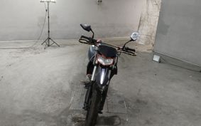 KAWASAKI D-TRACKERX LX250V