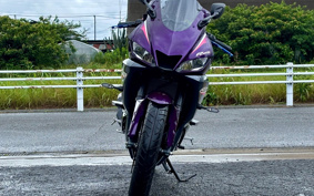 YAMAHA YZF-R25 RG74J