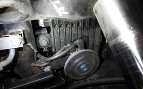 SUZUKI ｼﾞｸｻｰ250SF