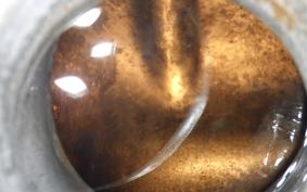 KAWASAKI BALIUS 250 Gen.2 ZR250B