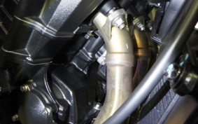 TRIUMPH STREET TRIPLE RS 2024