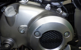 HONDA CT125 HUNTER CUB 2025 JA55