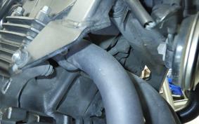 HONDA HORNET 250 MC31