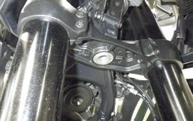 HARLEY PAN AMERICA 1250 S 2021
