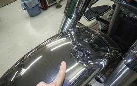HARLEY FLSTFI1920 2025