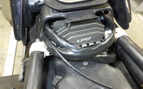 YAMAHA TDR250 2021 2YK