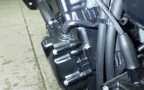 SUZUKI GSX-S750 2019 C533F
