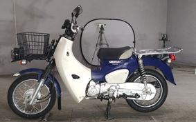 HONDA SUPER CUB110 JA42