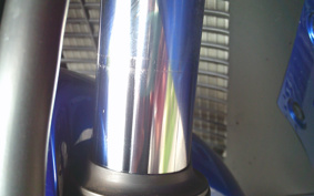 SUZUKI  SKY WAVE 250TYPES CJ43A