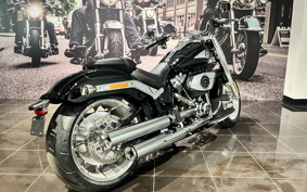 HARLEY  HARLEY FLFB 2025 YF9