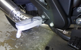 OTHER +ﾌﾞﾘｸｽﾄﾝ500 2023