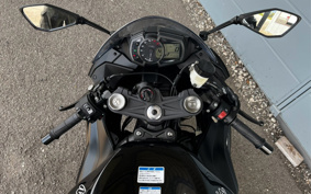 KAWASAKI NINJA ZX-6R 2019 ZX636G