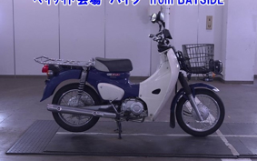 OTHER C110PU LOW 3