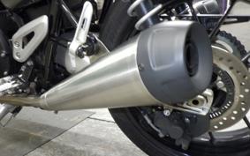 TRIUMPH SPEED TWIN 2024