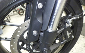 TRIUMPH SPEED 400 2024