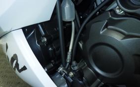 KAWASAKI ZX 1400 NINJA R A 2020