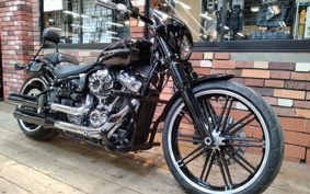 HARLEY FXBRS 2021 YHK