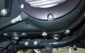 HARLEY XL883N 2009