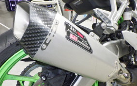 KAWASAKI ZX-4RR 2024 ZX400P