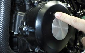 KAWASAKI Z900RS 2022 ZR900C