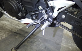 KAWASAKI NINJA 250 2020 EX250P