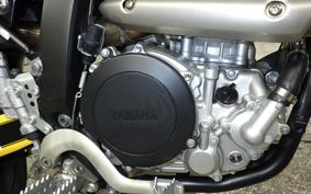 YAMAHA WR250X DG15J