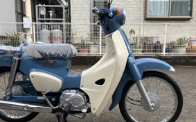 HONDA SUPER CUB50 AA09