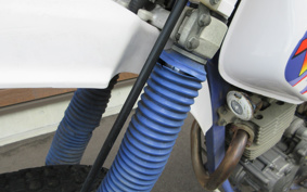 YAMAHA TT250R 4GY