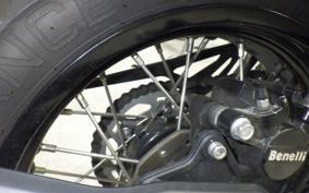 BENELLI TRX502X 2025