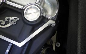 INDIAN Scout 2024