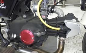 HONDA MONKEY 2018 Z50J