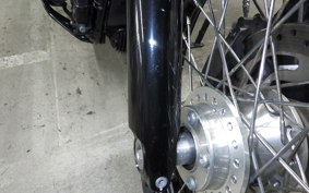 HARLEY FXBB1750 2018