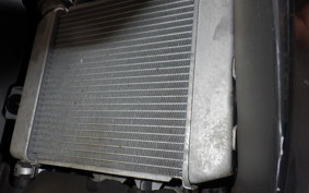 SUZUKI GSX-R125 DL33B