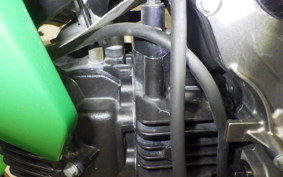 KAWASAKI Z125 PRO 2021 BR125H