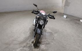 YAMAHA FZS RG66