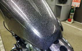 HARLEY XL1200V 2014