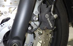 TRIUMPH BONNEVILLE T100 2022
