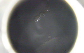 HARLEY FLHTCUI 1450 2003