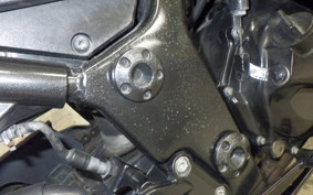 KAWASAKI NINJA 250R 2015 EX250K