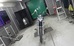 YAMAHA VIRAGO 250 3DM