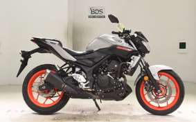 YAMAHA MT-25 2010 RG43J