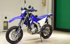 YAMAHA WR250R 2007 DG15J