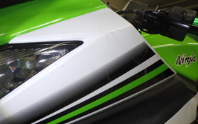 KAWASAKI NINJA 250 EX250L