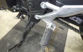 HONDA NX400 2024 NC65
