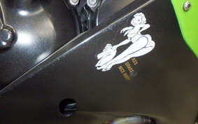KAWASAKI ZX 10 NINJA R 2006 ZXT00D