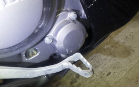 HONDA CRF250 RALLY A 2025 MD44