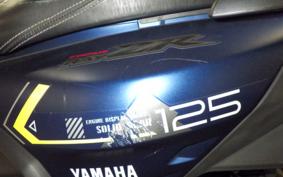 YAMAHA CYGNUS RAY ZR
