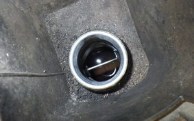 YAMAHA MAXAM 250 SG21J